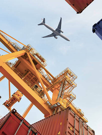 Logistics team and warehouse operations 1