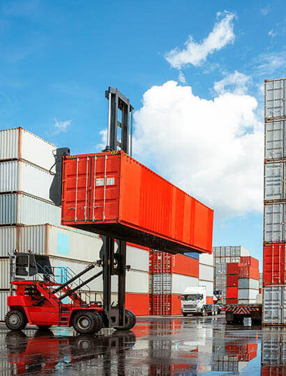 Logistics team and warehouse operations 3