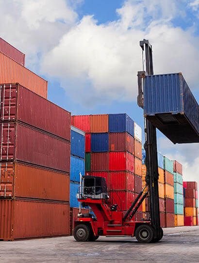Logistics team and warehouse operations 4