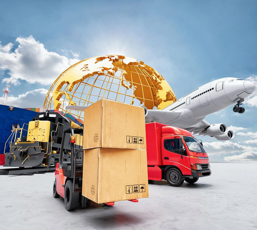 Logistics team and warehouse operations 9