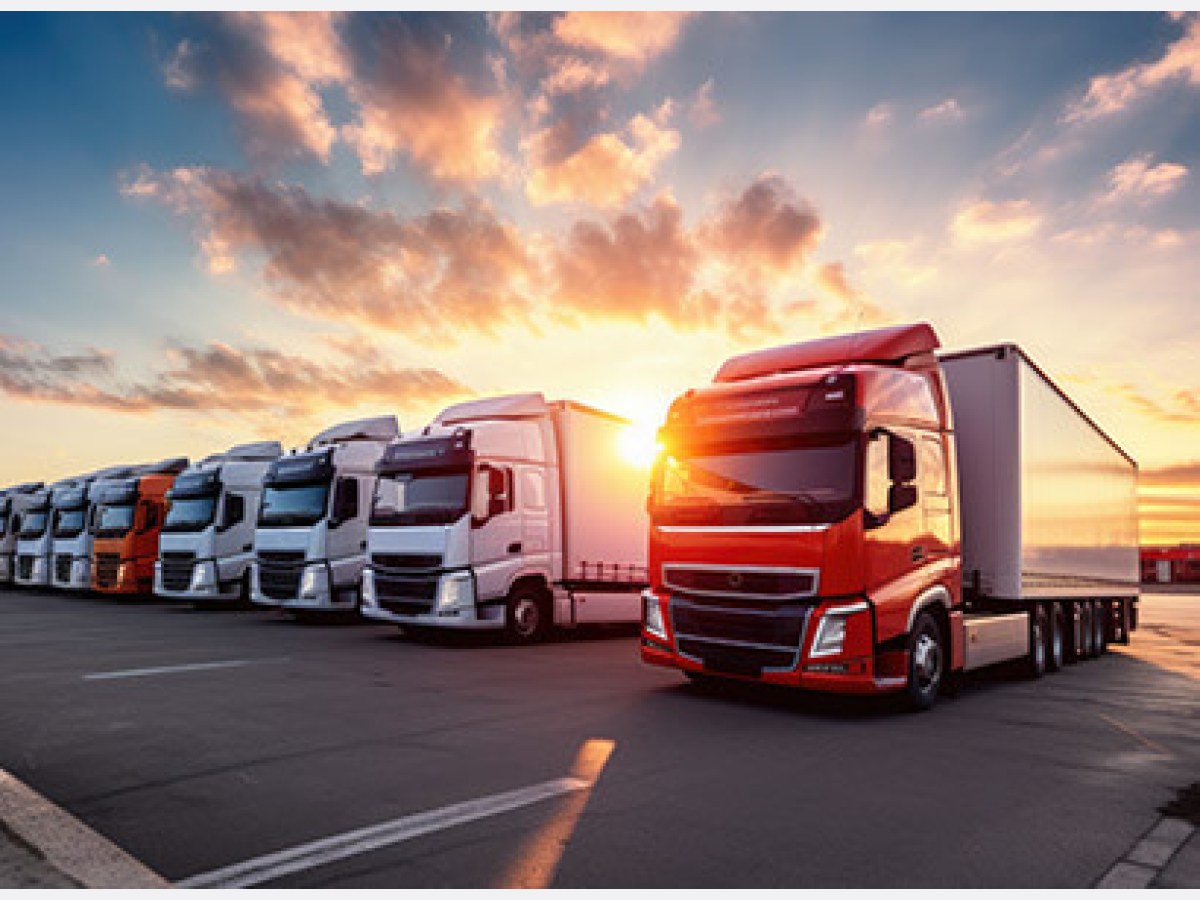 Sea Freight